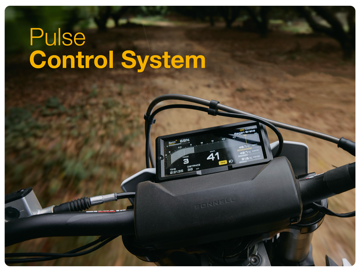 Pulse Control System